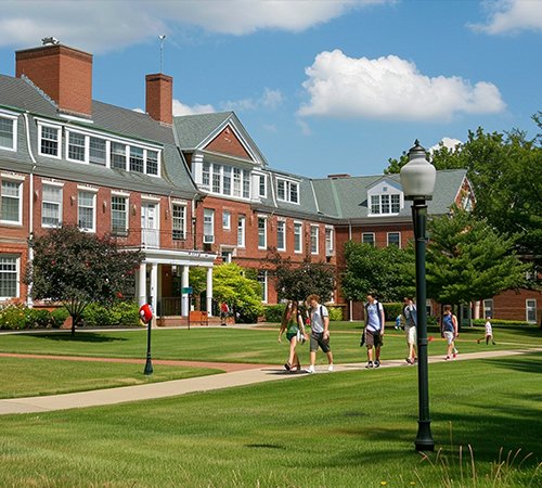 Schools & Colleges